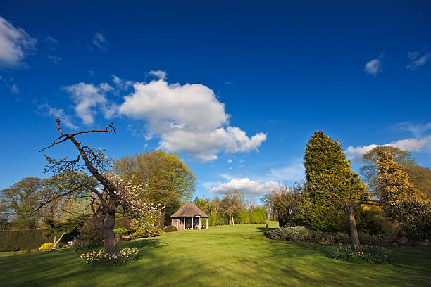 istock Domestic garden blooming in spring 104672964