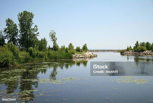 Vista Panorámica A La Bahía Foto de stock y más banco de imágenes de Green Bay - Green Bay, Agua, Aire libre