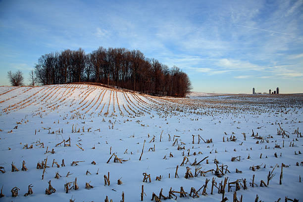 istock Winter farm scenic 104673533