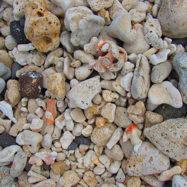 istock Broken coral and volcanic rock for backgrounds and/or texture 1046743464