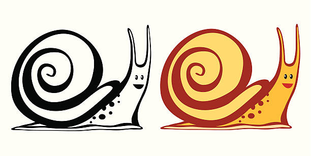 snail vector art illustration