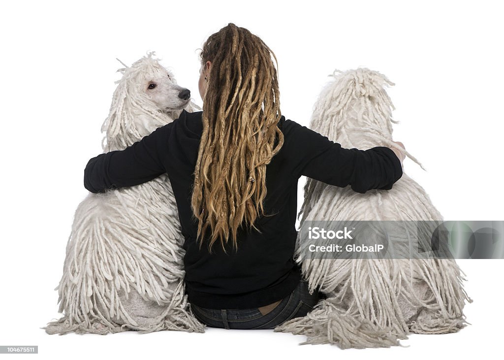 Padrão branco com fios Poodles e uma menina com Rastafari sessão. - Royalty-free Pessoas Foto de stock
