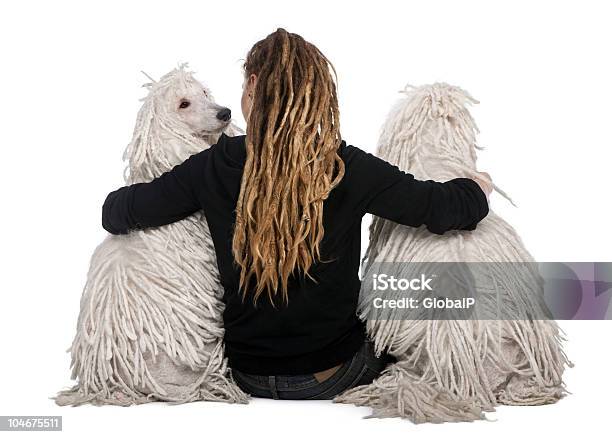 Белый Стандартный Poodles Из Ткани В Рубчик И Девочка С Дреды Сидит — стоковые фотографии и другие картинки Люди