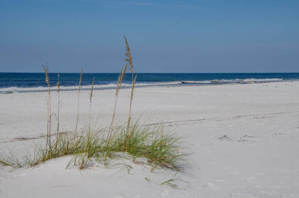 istock Tropical ocean beach shoreline with white sands and sea grass. 1046757692