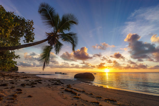 istock beautiful sunrise on paradise beach, seychelles 4 1046758794