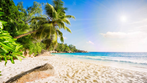 istock paradise beach on the seychelles 2 1046764104