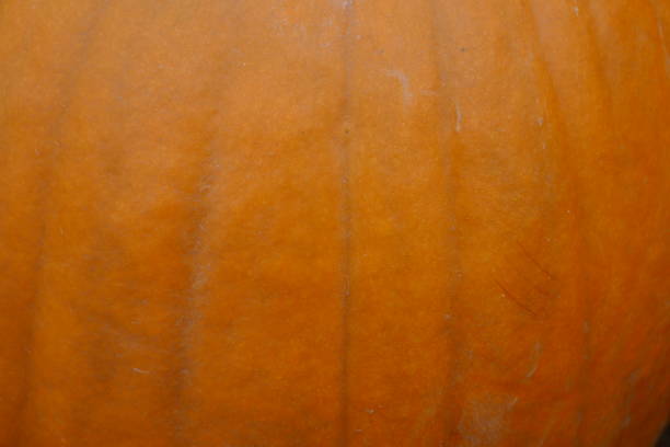 istock Pumpkin skin background 1046767594