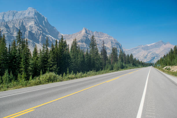 istock Highway trough the Banff National park, Canada 1046770090