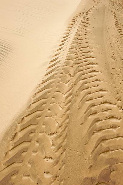 Tire tracks stock photo