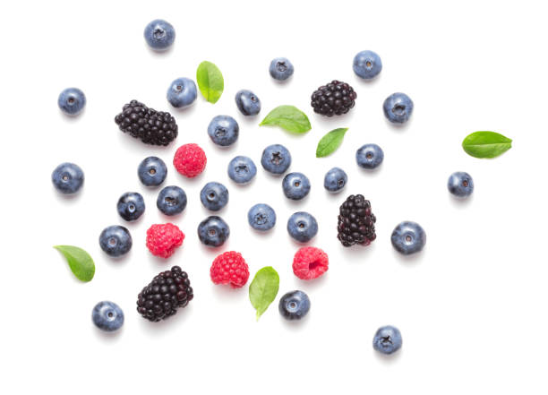 istock blueberry fruits isolated 1046779802