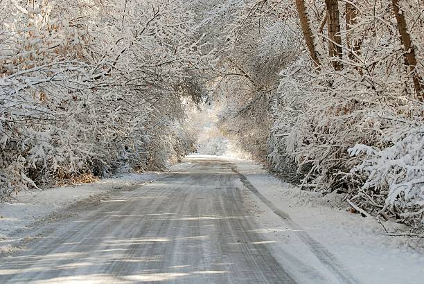 istock Country road in the Winter 104678636