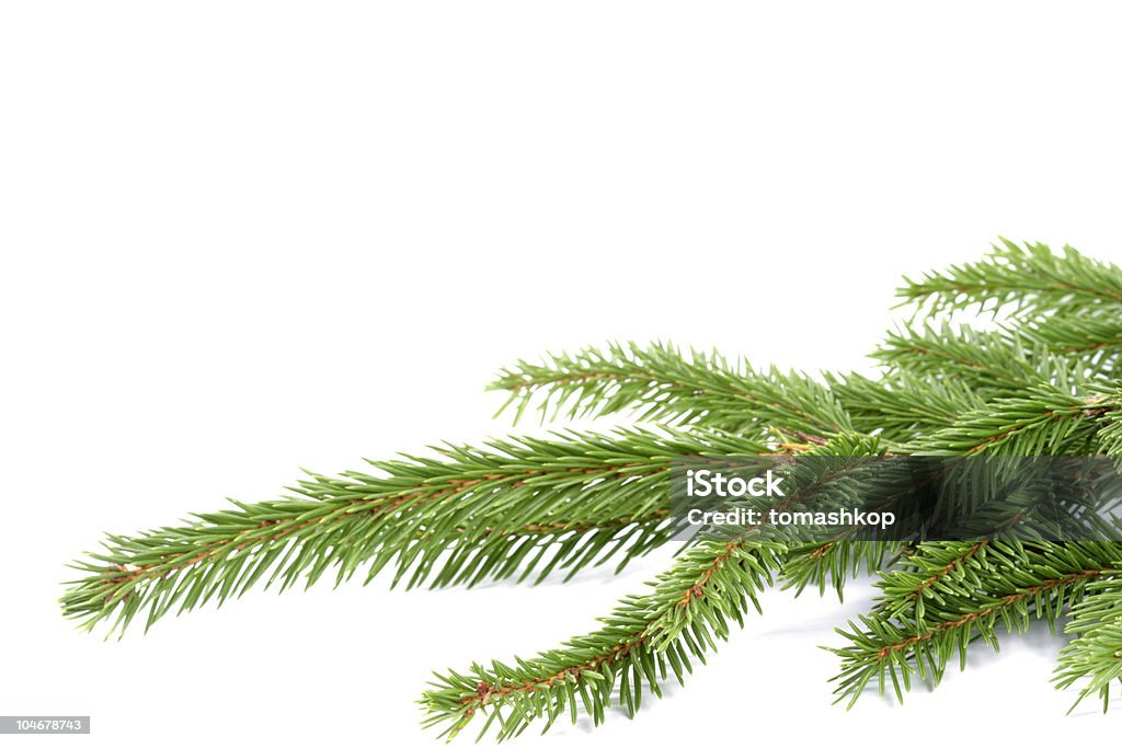 Composición de Navidad - Foto de stock de Abeto libre de derechos