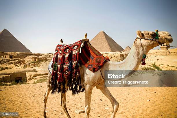 Piramidy W Egipcie - zdjęcia stockowe i więcej obrazów Afryka - Afryka, Azja Zachodnia, Baktrian