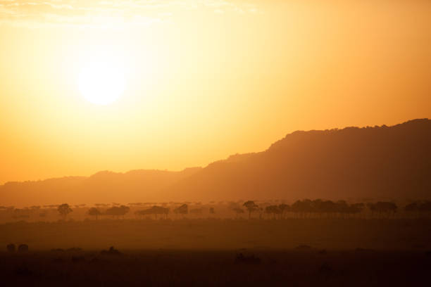 istock Sunrise over the African plains 1046802864