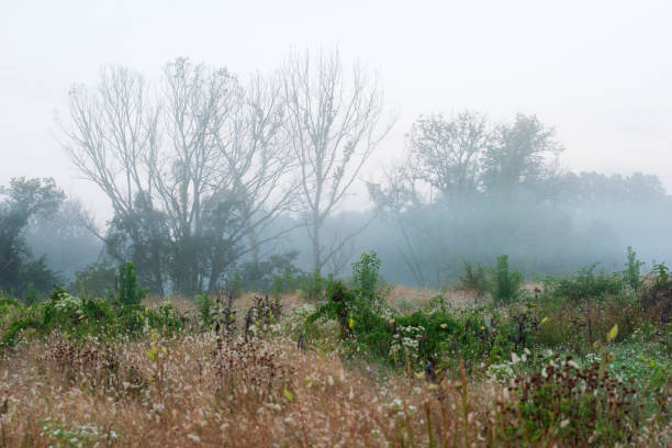 istock Meadow of Valley Forge National Historic Park 1046807488