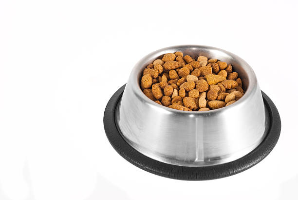 istock Dog-food in a bowl 104681443
