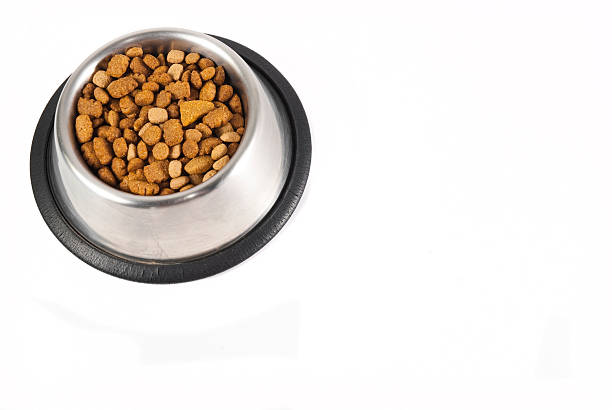 istock Dog-food in a bowl 104681457