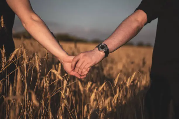 Young couple holding hands in the field. Close-up