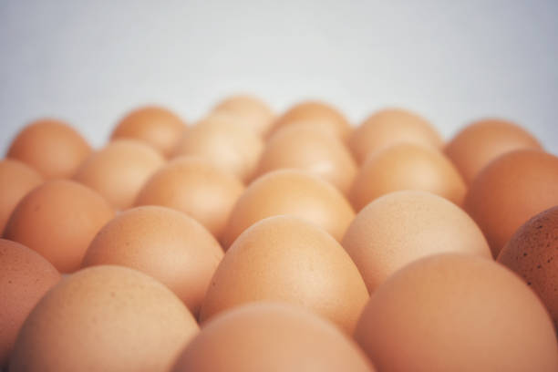 istock Many fresh raw egg chicken lined up in a row. 1046819432