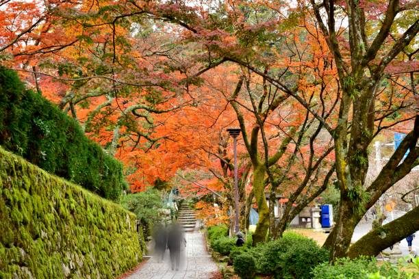 istock Autumn Foliage in Western Japan 1046822070