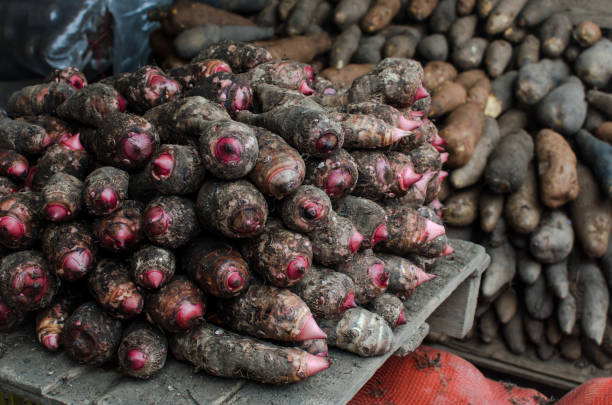 istock Fresh taro roots for sale 1046827294