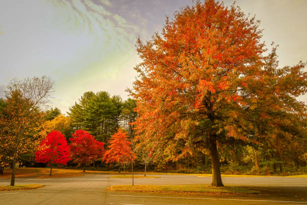 Dingmans Creek in the Poconos Mountains , Pennsylvania US