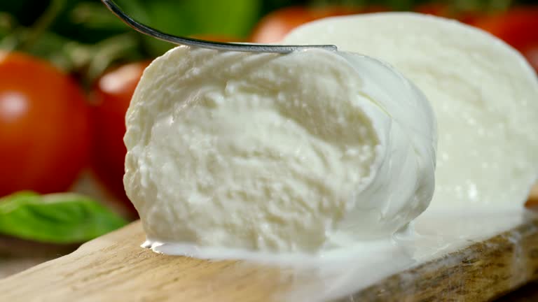 Descarga videos de stock de Queso Mozzarella gratis en 4K y HD 898 clips Descarga videos de stock de Queso Mozzarella gratis en 4K y HD 898 clips
