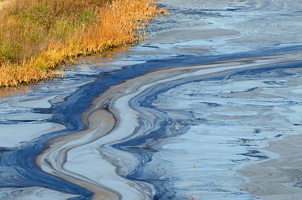 Oil slick in water Closeup of an oil slick in water with fall colors in the grass on the shore toxic waste stock pictures, royalty-free photos & images