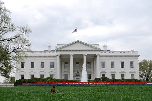istock Bird on White House lawn 104684470