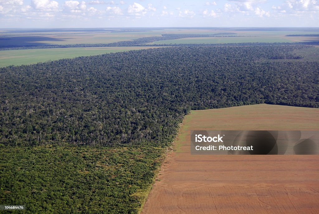 Aerial view of Amazon deforestation in Brazil  Deforestation Stock Photo