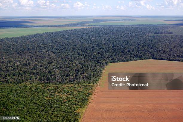 Aerial View Of Amazon Deforestation In Brazil Stock Photo - Download Image Now - Deforestation, Amazon Region, Amazon Rainforest