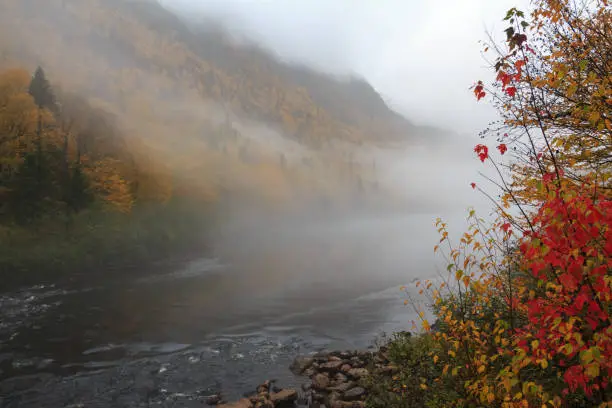 Mist on the river with fall colors in Jacques-Cartier National Park, Quebec, Canada