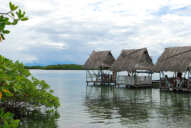 istock Thatched shelters in Bocas del Toro, Panama 104686790