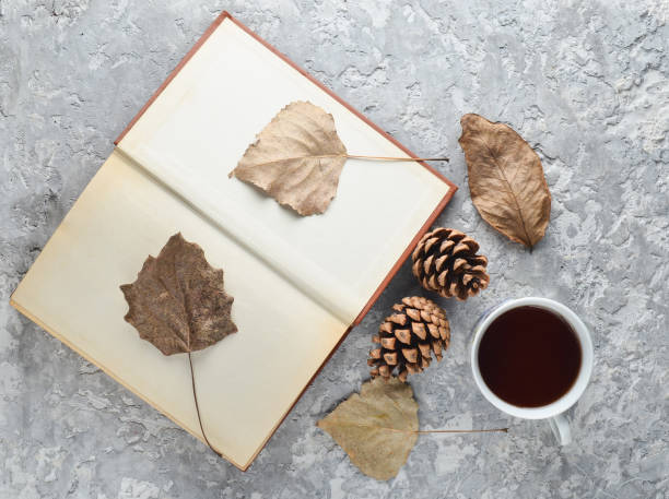 istock Tea when reading a book. Tea, a book, fallen leaves, bumps on a concrete table. Autumn winter atmosphere for reading a new story. Herbarium from dried leaves. Top view. Flat lay. 1046877622