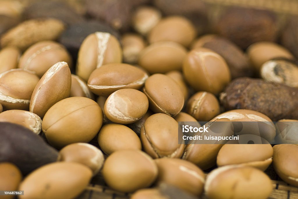 Close up of some brown argan fruits Argan fruits, used for cosmetical products Argan Tree Stock Photo