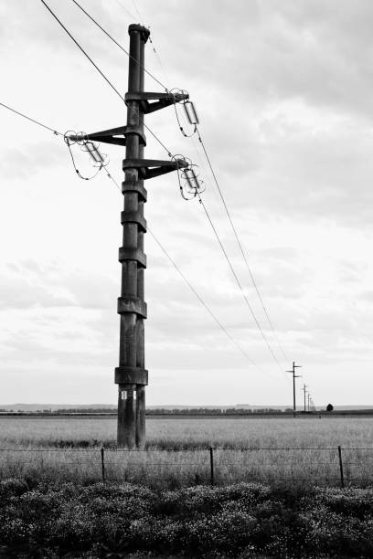 istock Black and white electric tower in open landscape 1046880460