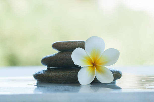 istock Spa flower and stones outdoors with sunlight 1046889076