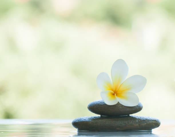 istock Tropical flower on two stones for massage treatment on white background with sunlight. 1046889090