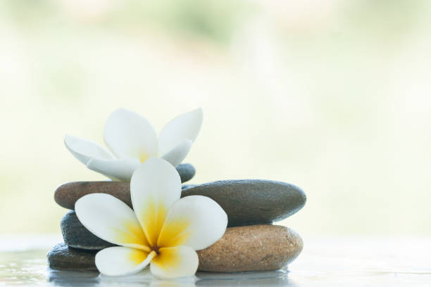 istock spa flowers in stones on white marble background. 1046889092