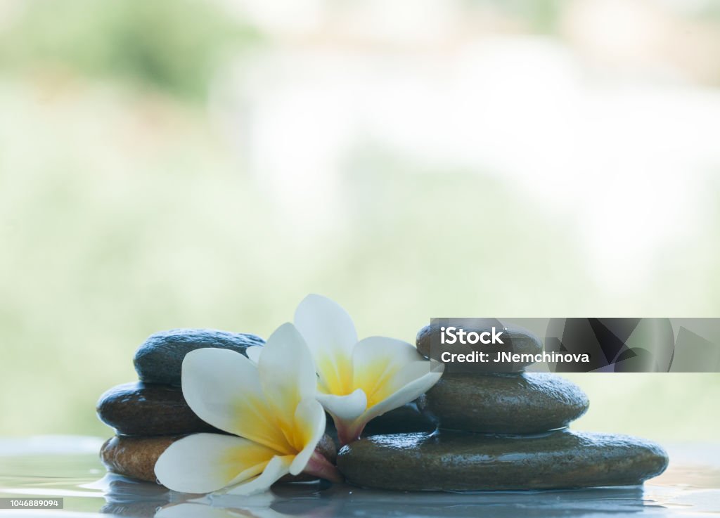 Objetos De Spa Con Flores Y Piedras Para Masaje Tratamiento Sobre Fondo Blanco Al Aire Libre Foto de stock y más banco de imágenes de Acostado - iStock Objetos De Spa Con Flores Y Piedras Para Masaje Tratamiento Sobre Fondo Blanco Al Aire Libre Foto de stock y más banco de imágenes de Acostado - iStock