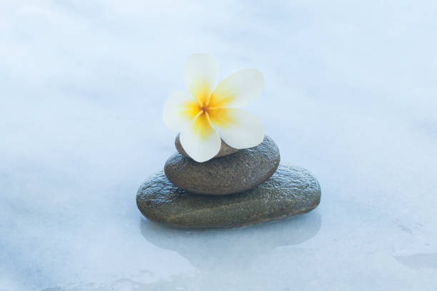 istock spa flower and stones for massage treatment on marble background. 1046889100