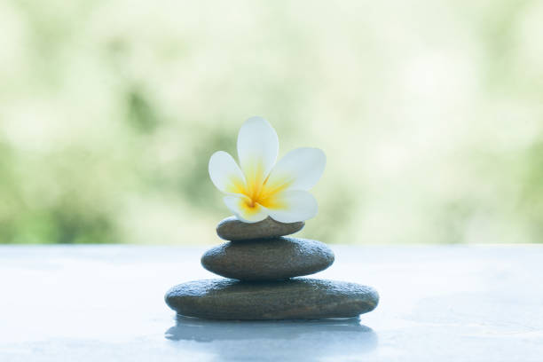 istock spa set with flower and stones on white marble background. 1046889104