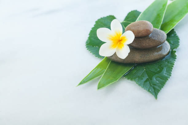 istock spa flower on stones for massage treatment on white marble background. 1046889106