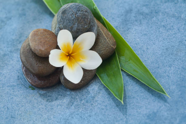 istock spa flower between stones with green leaves for massage room 1046889156