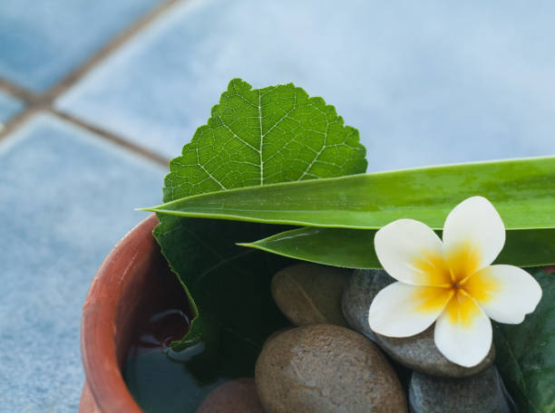 istock spa flower and tropical objects for massage room 1046889164