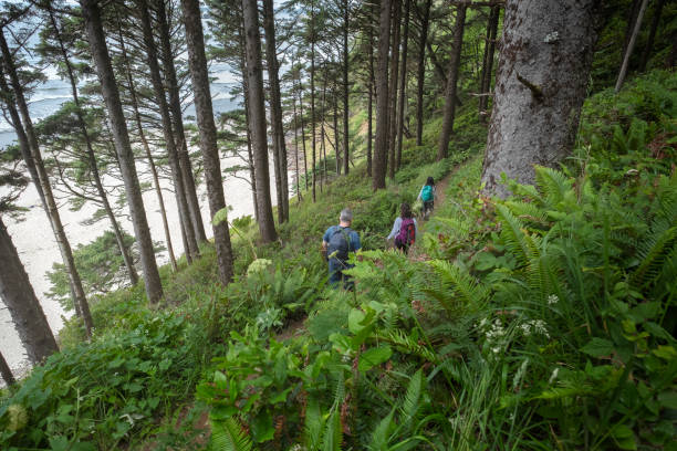 istock Multi-Ethnic Family Hiking on Coastal Bluff Trail Overlooking Beach 1046897490