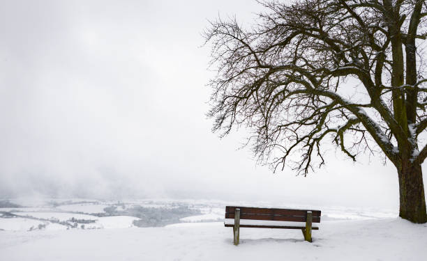istock Wooden bench and tree on a snowy hilltop 1046902068