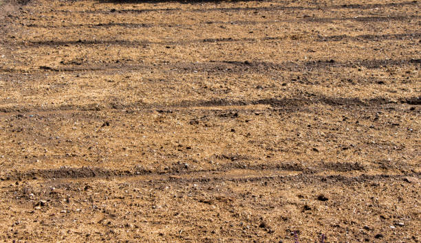 istock Plowed field with  traces in view 1046908740