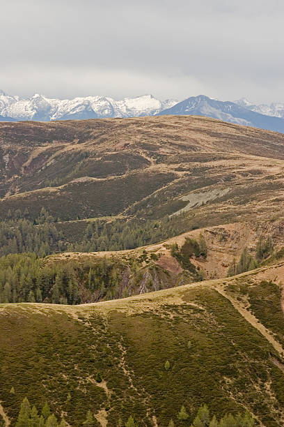 paisagem de montanha - hafling imagens e fotografias de stock