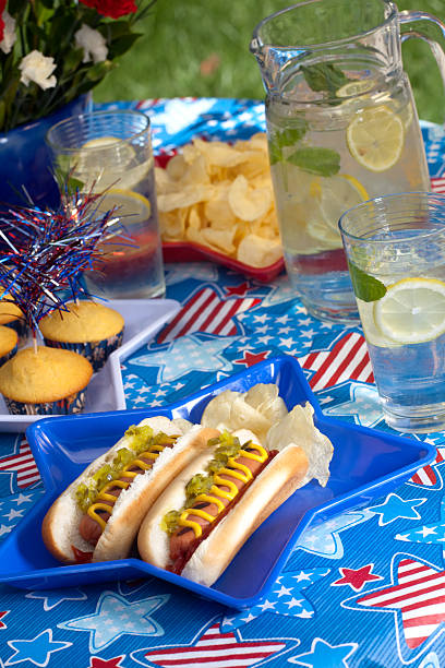 istock 4th of July picnic 104692387
